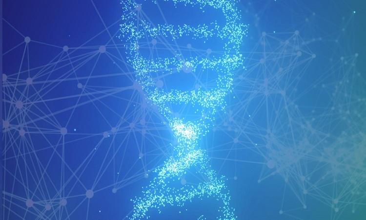 OA系统如何依靠易保全电子合同系统进行升级